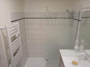 baño blanco con ducha y lavamanos en Le puits de Mine d'appart, en Cransac