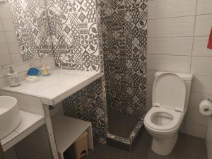 a small bathroom with a toilet and a sink at Rita's Appartements and Studios in Karpathos +35 photos