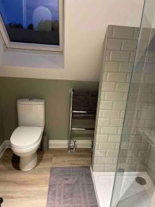 a bathroom with a toilet and a walk in shower at Cosy Rural Retreat Sleeps 3 & PetFriendly in Pewsey