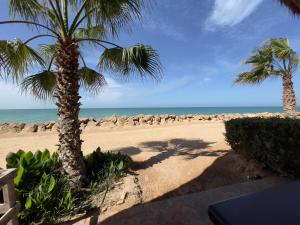 a beach with two palm trees and the ocean at Westpoint Dakhla in Dakhla