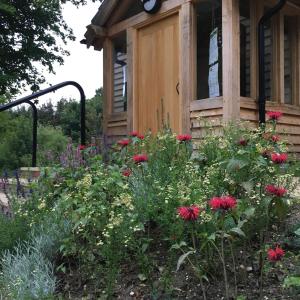 a garden with flowers in front of a house at South Downs Eco Lodge & Camping in East Meon