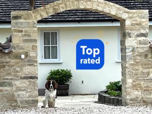 MarnhullClock House B&B的坐在顶级标志前的狗