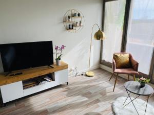 TV i/ili multimedijalni sistem u objektu Cocon déco + terrasse & parking fermé Zénith Ester