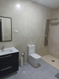 y baño con aseo, lavabo y ducha. en Apartamento Barbadillo - Redmansur, en Cáceres