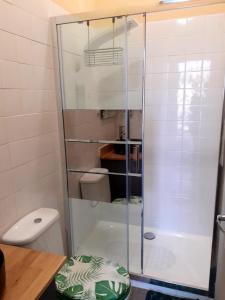 a glass shower in a bathroom with a toilet at Le Petit Figuier in Villefranche-du-Périgord +7 photos