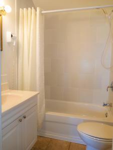 a bathroom with a tub and a toilet and a sink at Logging Chain Lodge Cottage Resort in Dwight