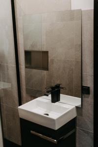 ein Badezimmer mit einem weißen Waschbecken und einem Spiegel in der Unterkunft Modernes, stilvolles eingerichtetes Loft in Wien