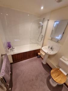 a bathroom with a shower and a toilet and a sink at The Tool Shed in Wimborne Minster