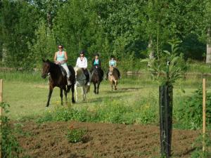 a group of people riding horses in a field at Le Château de Roquebère in Condom