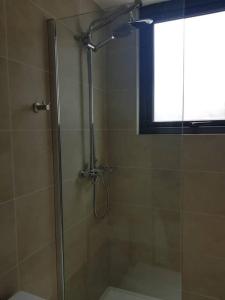 La salle de bains est pourvue d'une douche avec une porte en verre. dans l'établissement Pewen Apart Hotel Pucón 5, à Pucón