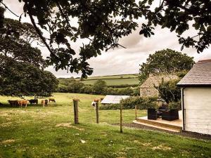 Afbeelding uit fotogalerij van Vine Cottage in Saint Ewe