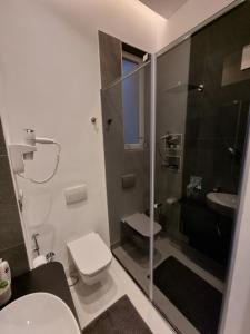 une salle de bain avec une douche, des toilettes et un lavabo dans l'établissement Unique and luxury apartment Sarajevo with balcony, à Sarajevo