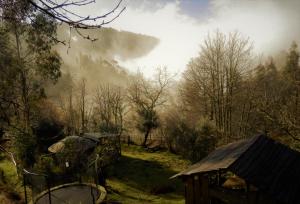 a view of a misty forest with a house and trees at O Homem Verde in Penela