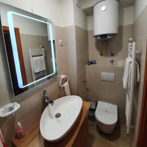 a bathroom with a sink and a toilet and a mirror at Guest House Babilon in Prijedor