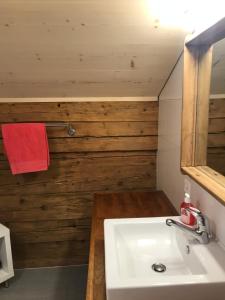 a bathroom with a sink and a mirror at Au Pré des Chevaux in Chateau-d'Oex