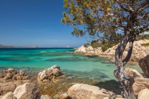 Kép Ghjlgolu House - Le Residenze del Mare szállásáról Monte Petrosuban a galériában Még 13 kép
