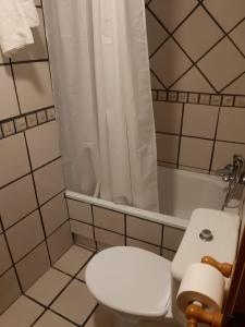 uma casa de banho com um WC e um chuveiro em Apartamento en sanxenxo duplex em Sanxenxo
