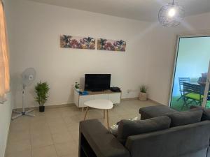 een woonkamer met een bank en een tv bij Joli appartement rénové à neuf in Baie-Mahault