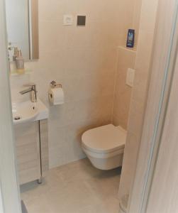 Et badeværelse på Apartma Vila Zigmund