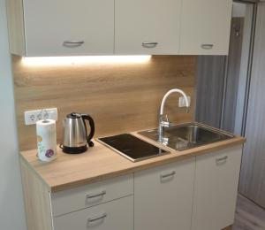 Køkken eller tekøkken på Apartma Vila Zigmund + 9 billeder