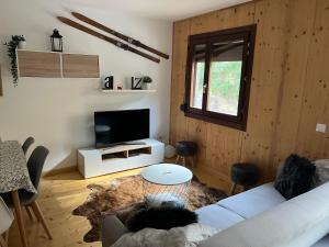 卡斯鐵略德哈卡的住宿－Apartamento Luga，带沙发和电视的客厅