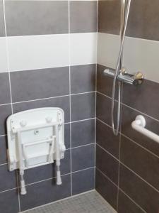 a bathroom with a shower with a toilet in it at Le Merle Blanc Louchats in Louchats