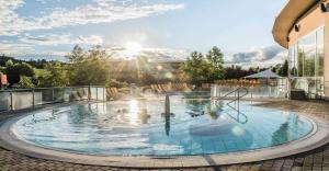a swimming pool with ducks in the water at Seechalet Rauchwart in Rauchwart im Burgenland