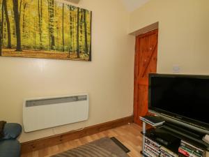 a living room with a radiator and a television at Cosy Cottage in Liskeard