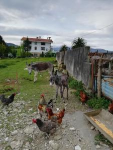 una vaca y pollos en un campo con una casa en Agroturismo Pagoederraga en Orio