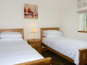 a bedroom with two beds and a lamp in it at Nant yr Hendre in Llanfair-Dyffryn-Clwyd