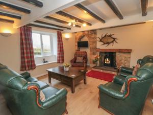 a living room with leather furniture and a fireplace at Tidkinhow Farm in Boosbeck