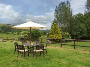 uma mesa e cadeiras com um guarda-sol na relva em Cwmgilla Farm em Knighton