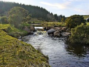 een stroom water met rotsen in een veld bij Homestone Farm in Drumlemble