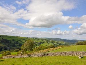 a green field with a stone wall in a field at Hendre Aled Cottage 1 in Llansannan
