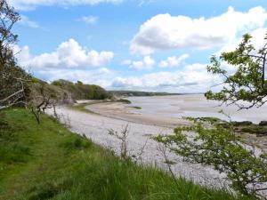 una playa con un poco de hierba y un cuerpo de agua en The Crook en Great Urswick