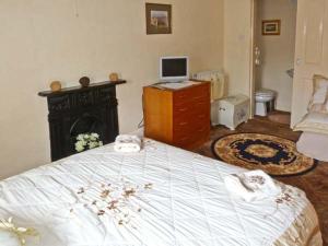 a bedroom with a large bed and a fireplace at Gable View in Drigg