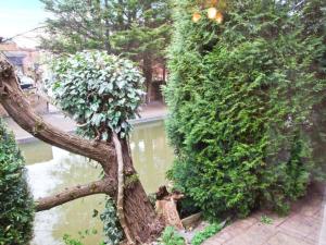 een boom die naast een waterlichaam staat bij 9 Bancroft Place in Stratford-upon-Avon