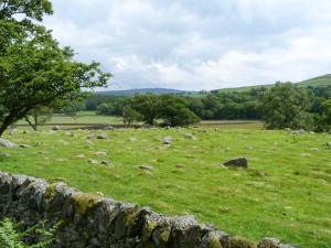 a field of green grass with a stone wall at 2A Bridge Apartments in Masham +2 photos