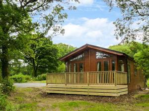 mały domek z dużym tarasem w lesie w obiekcie Chaffinch Lodge w mieście Highampton