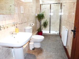 La salle de bains est pourvue d'un lavabo, de toilettes et d'une douche. dans l'établissement The Barn Ivy Cottage, à Dunnington