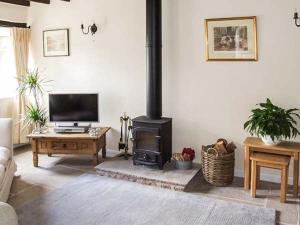 a living room with a fireplace with a television and a stove at Ganarew Cottage in Whitchurch