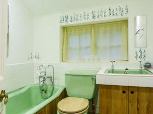 uma casa de banho com um WC verde e um lavatório em Townhead Cottage em Patterdale