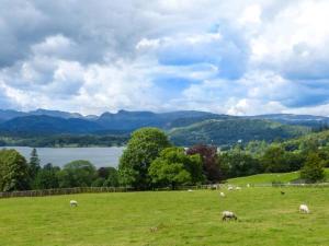 Природа в окрестностях дома для отпуска