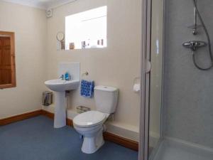 a bathroom with a toilet and a sink and a shower at Ysgubor - Barn in Llanddulas