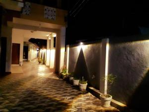 a hallway with potted plants on a wall at night at 7 guest 3room apartment in Matara