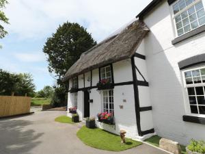 a white cottage with a thatched roof at Eightlands in Hampton Bishop