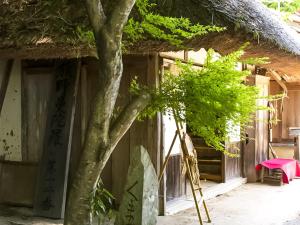 Kamitondacho的住宿－Guest Cafe Kuchikumano，梯子房子前面的树