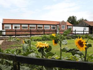 a garden with sunflowers in front of a building at Bowler Yard Cottage in Sookholme +5 photos