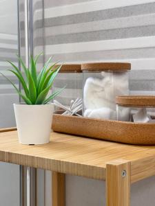 a plant sitting on a wooden table next to a plant at Grupo Morgado - Quinta do Morgado - Morgado House in Tavira