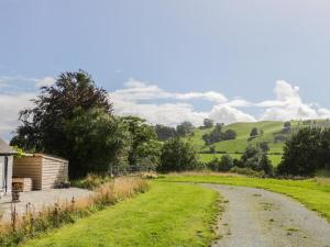 Llansantffraid-ym-MechainにあるThe Old Beams at Pont y Forwynの緑地中の未舗装道路